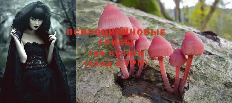 Галлюциногенные грибы MAGIC MUSHROOMS  ОМГ ОМГ сайт  Сосновка 